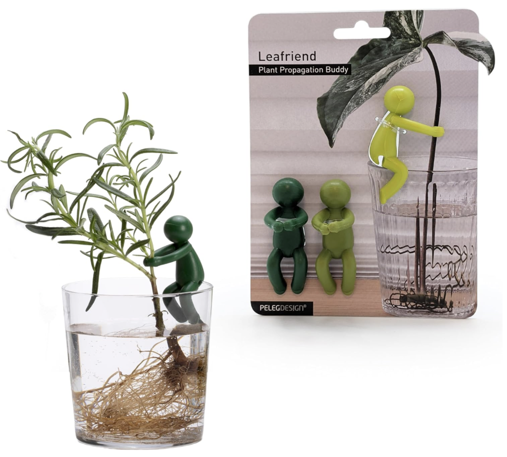 Plant Propagation Buddies!