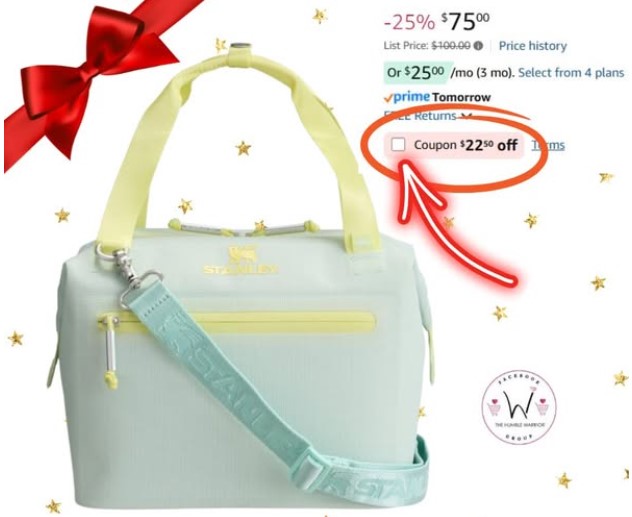 Stanley All Day Julienne soft cooler!