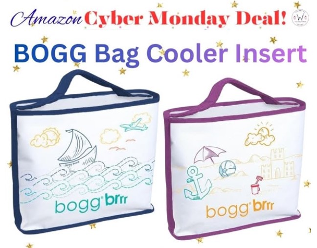 BOGG Bg – Bogg Brrr Cooler Insert!
