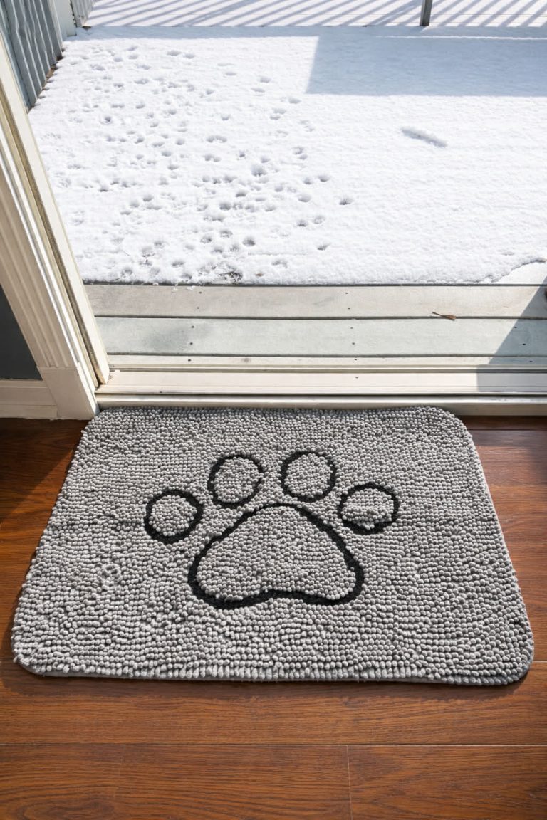 Dog Door Mat