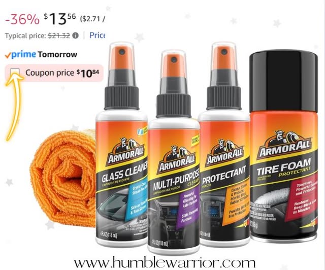 Armor All Starter Kit