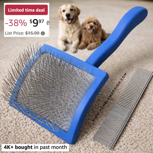 Saccison 2-pc Slicker Brush for dogs and cats