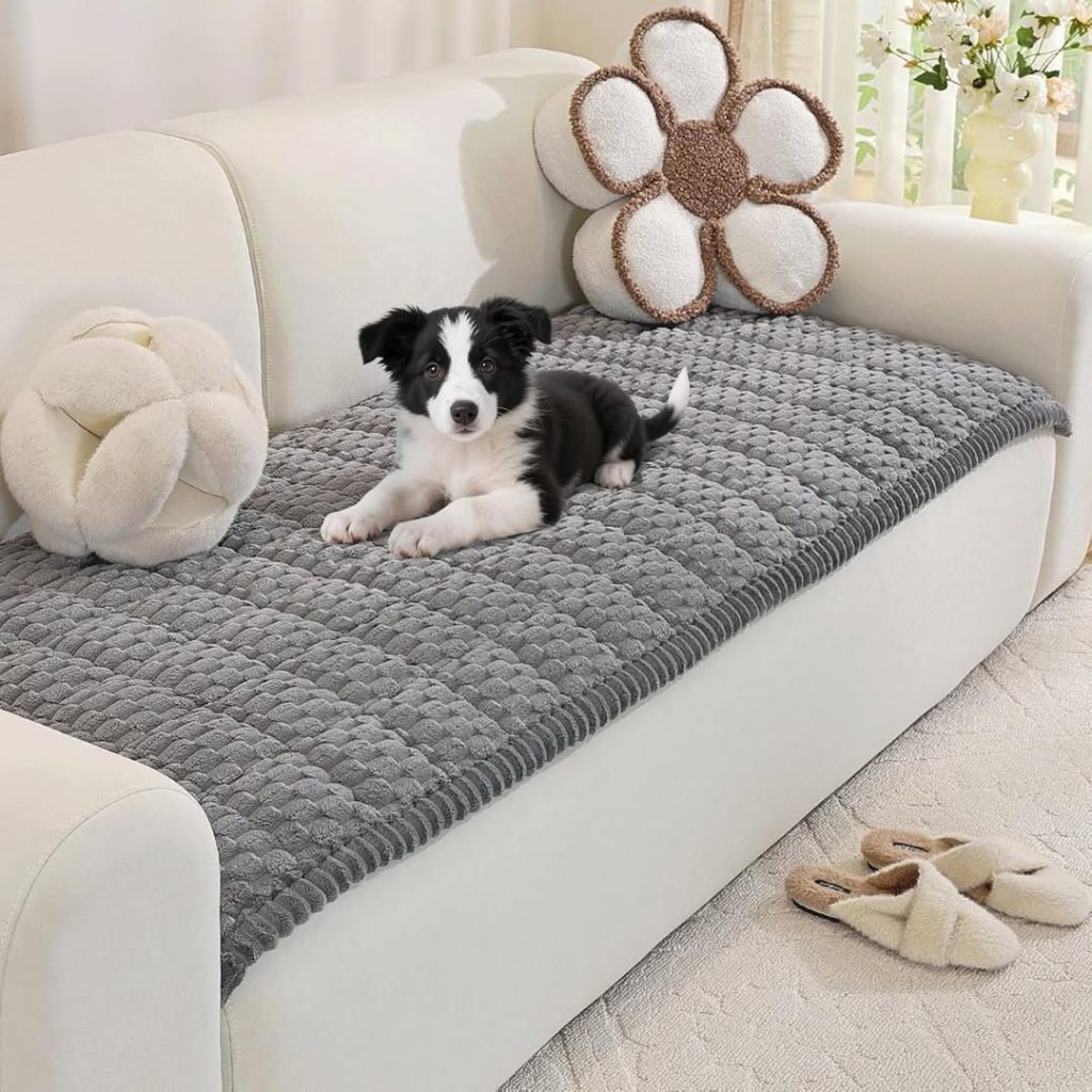 pet couch cover