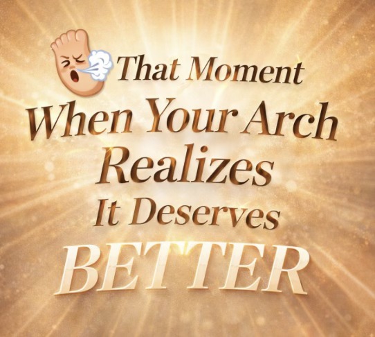 Arch Support Insert