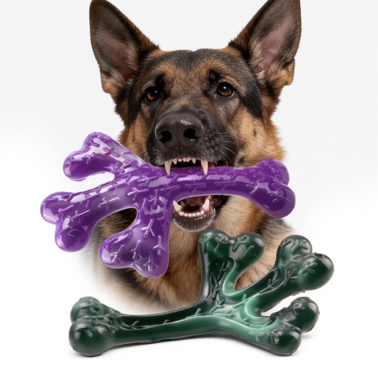 aggressive chewer Frienhund two pack