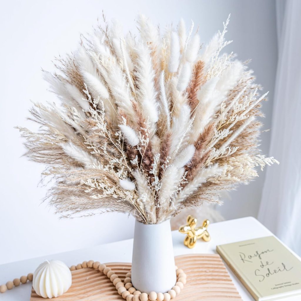 Dried Pampas Stems