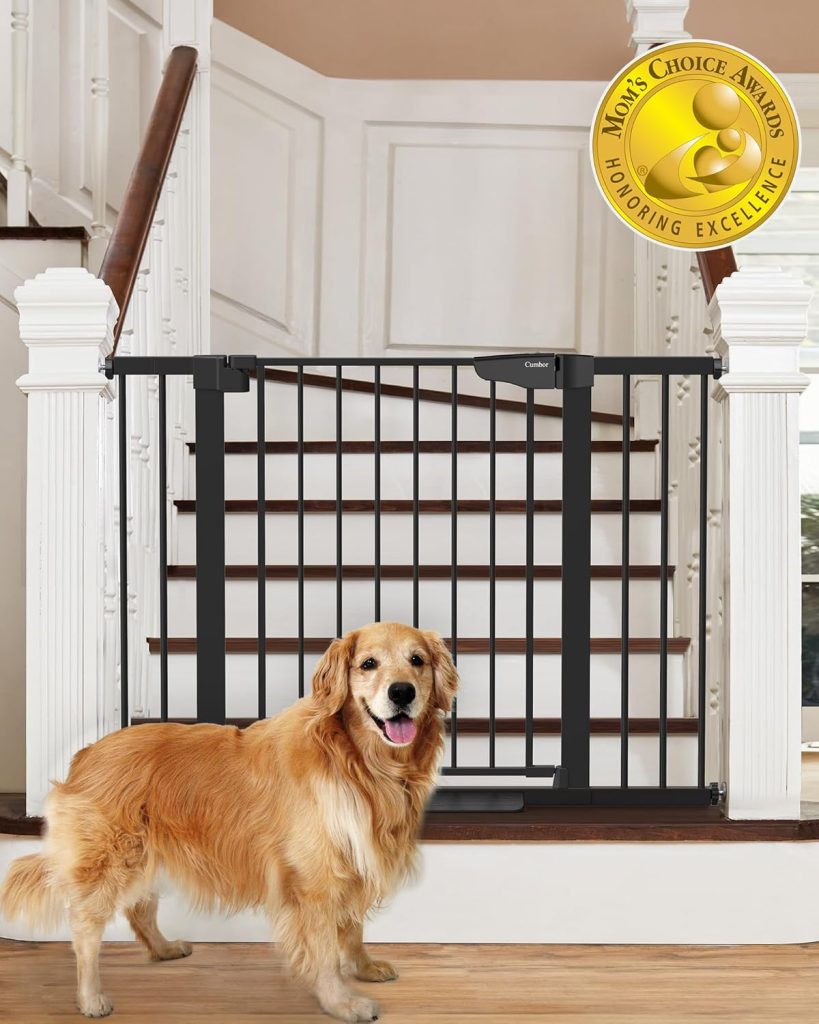 Baby Gate!