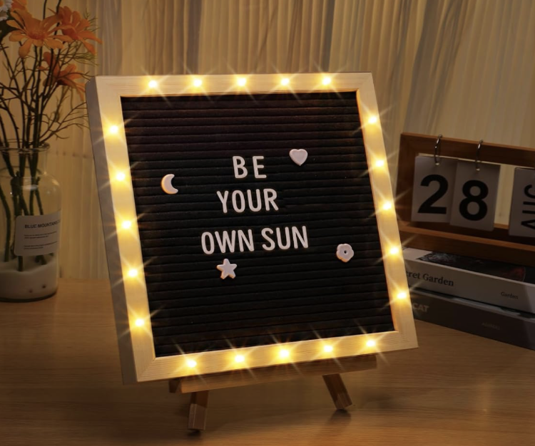 LED Felt Letter Board!