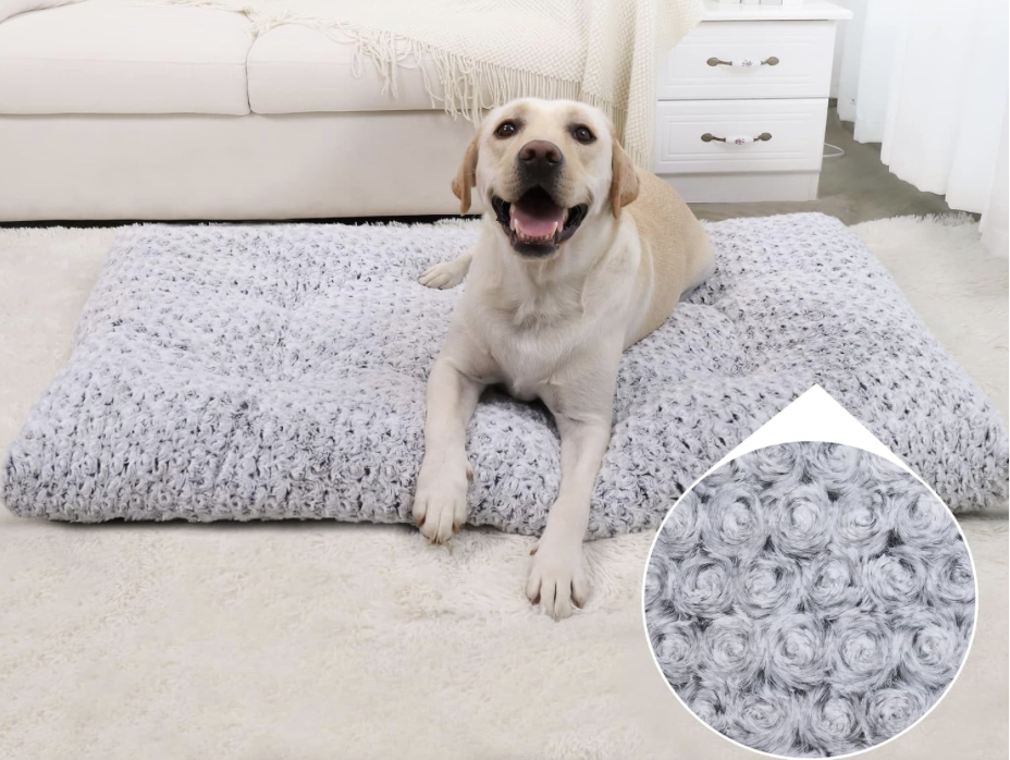Plush Dog Bed!