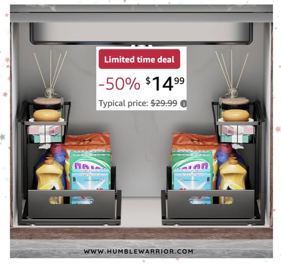 under then sink organizer