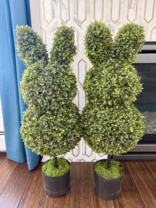 topiary bunnies