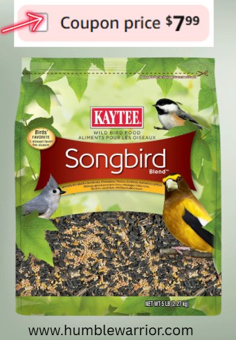 Kaytee Wild Bird Songbird Blend Bird Seed