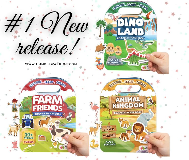 reusable sticker books