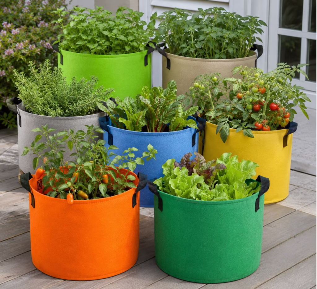 Growing at Home.
