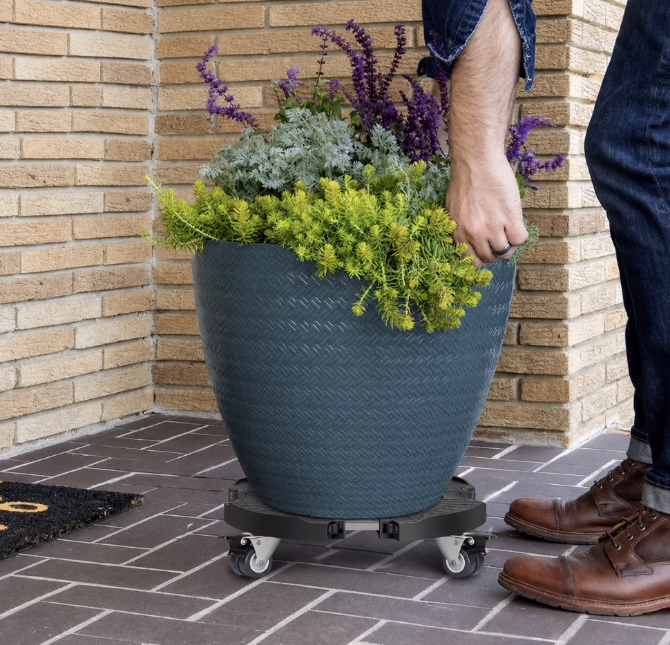 Plant Stand