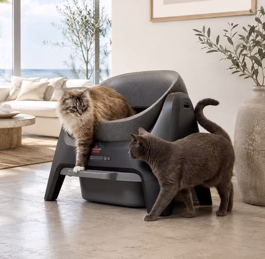 BISSELL CleanWell Automated Cat Litter Box