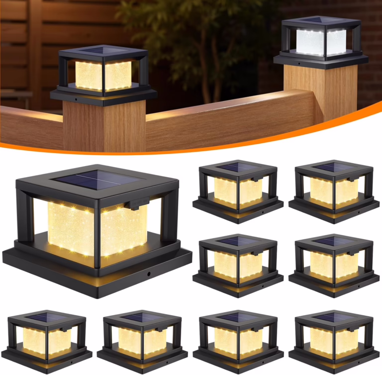 Backyard Glow-Up!