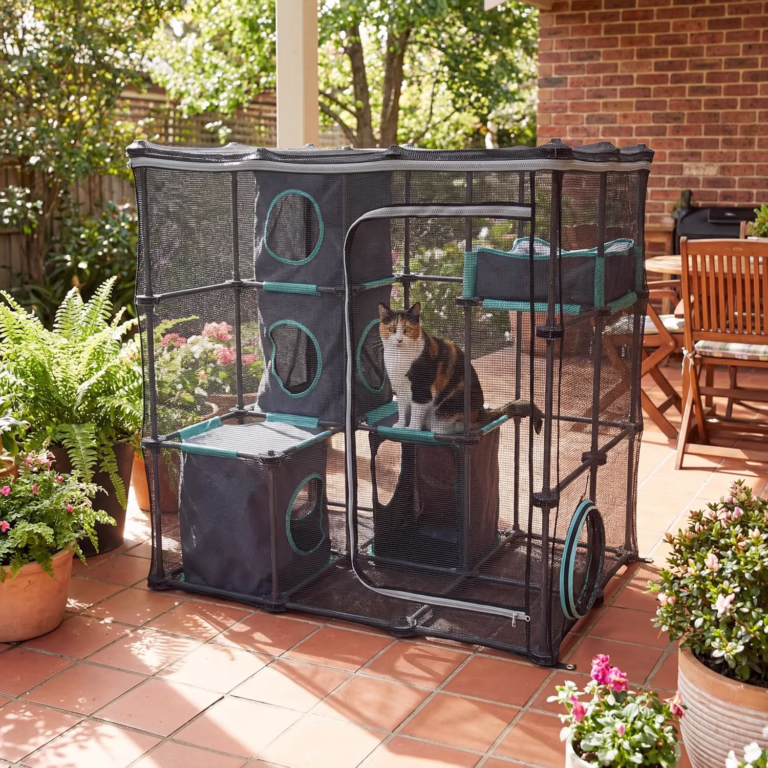 Catio