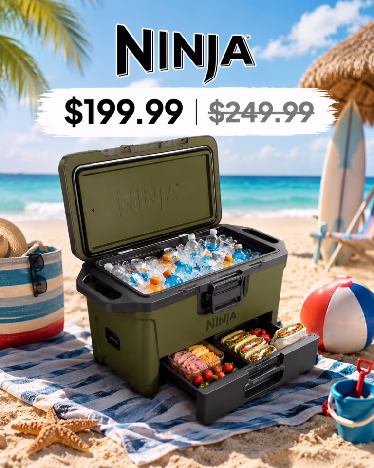 🫒 Summer Hosting Upgrades ☀️