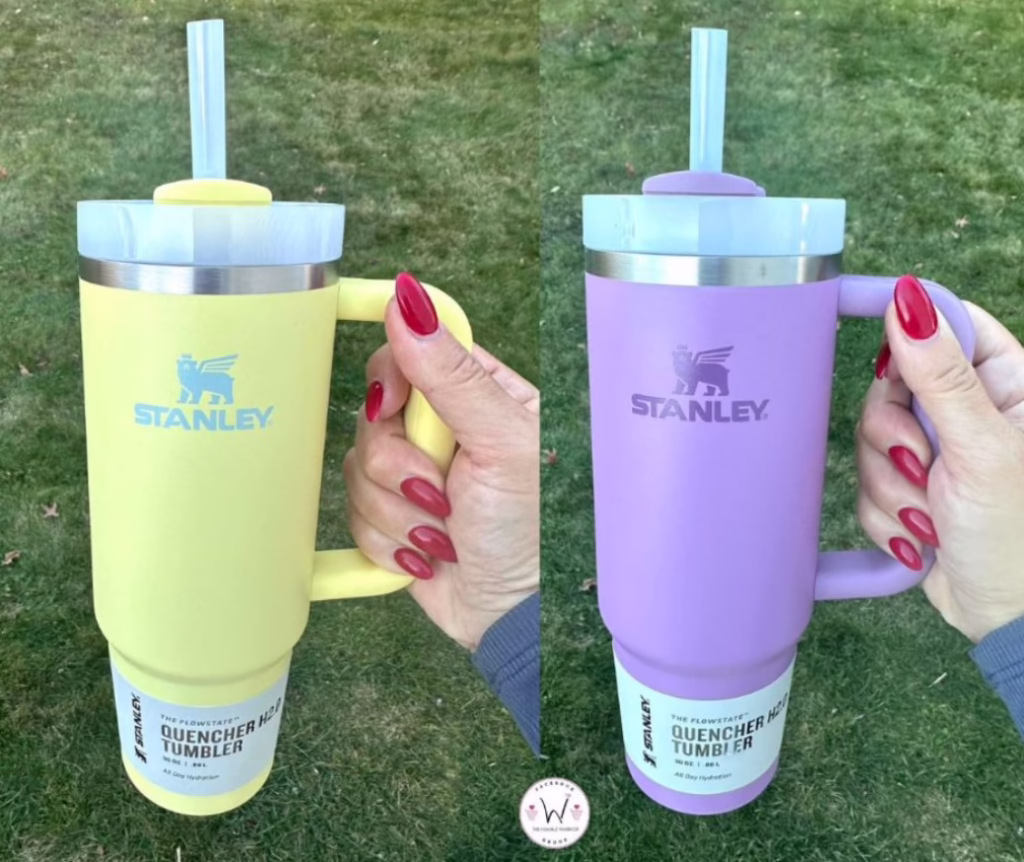 STANLEY Quencher H2.0 Tumblers with Straw