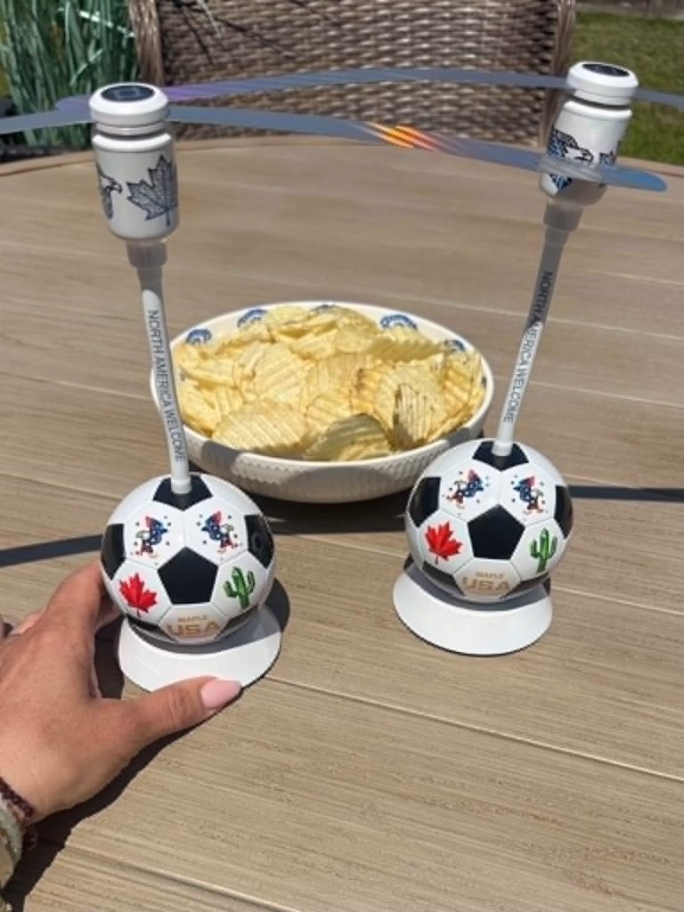 2 Pack Soccer Themed Fly Fans