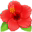 🌺