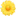 🌼