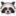 🦝
