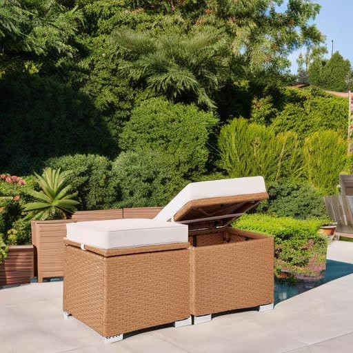Set of 2 Storage Ottomans