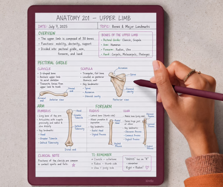 Amazon Scribe
