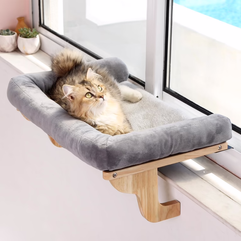 Cat Window Perch