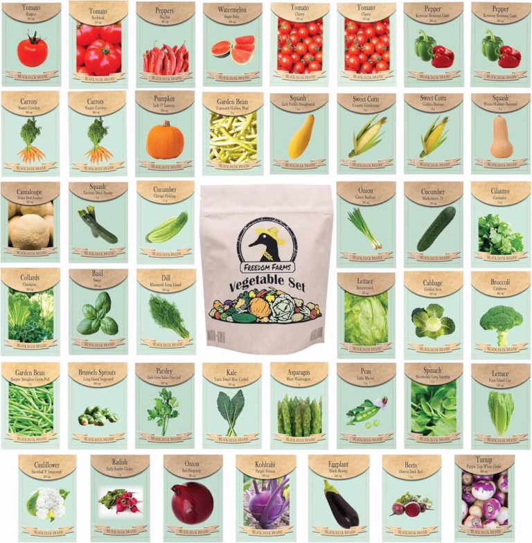 Assorted Vegetable & Herb Seed Packet Collection