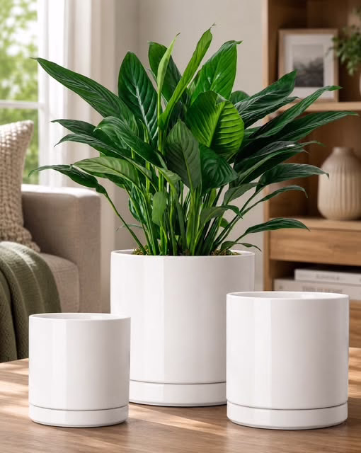 Vancasso Ceramic Plant Pots