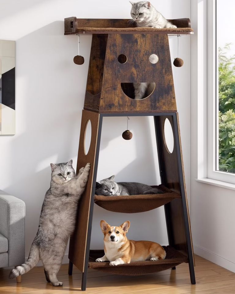 🐾 The Purrfect Upgrade
