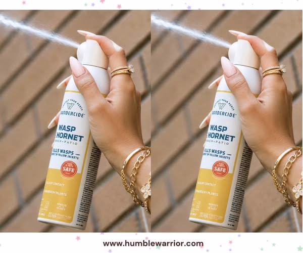 Wondercide – Wasp and Hornet Killer Aerosol Spray