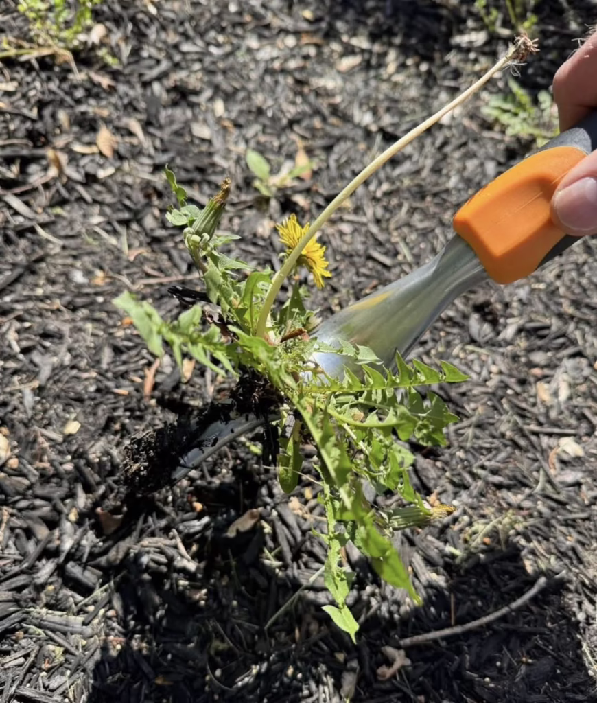 Fiskars Weeder Tool
