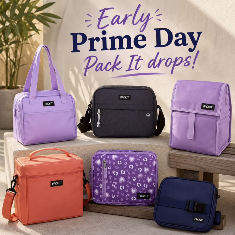 PackIt Freezable Snack/Lunch Box