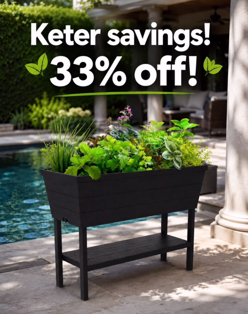 Keter Urban Bloomer