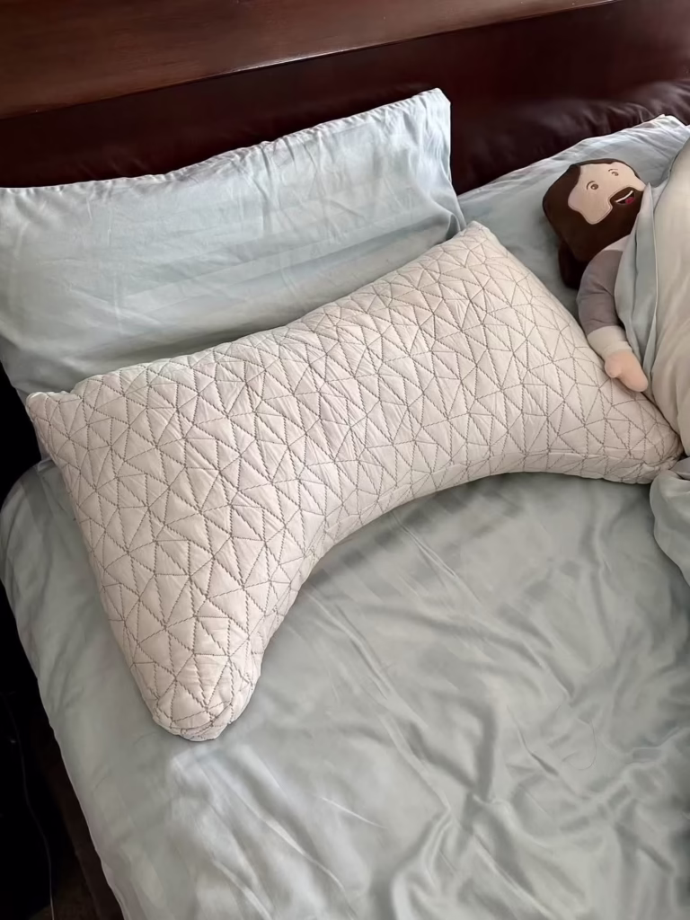 Coop Crescent Pillow