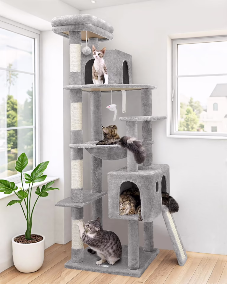 Cat Tower