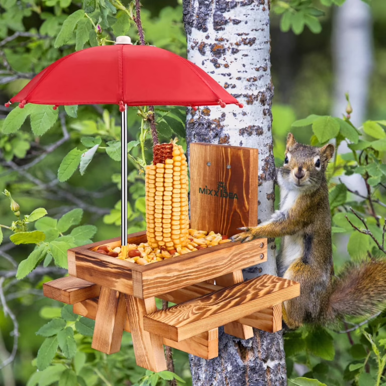 Squirrel Feeder