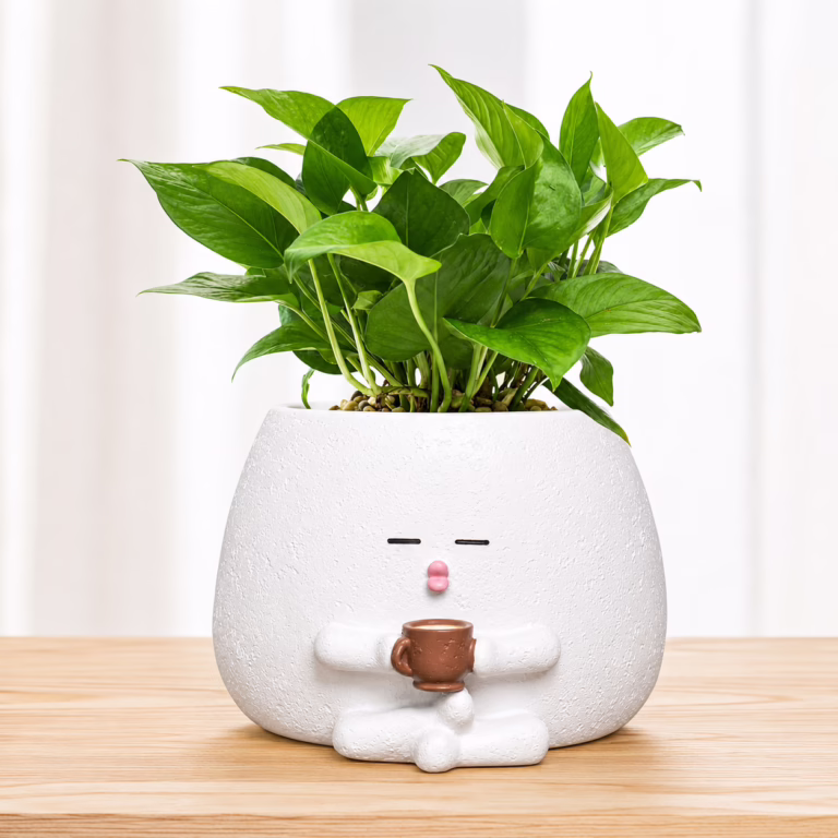 Smiley Face Planter