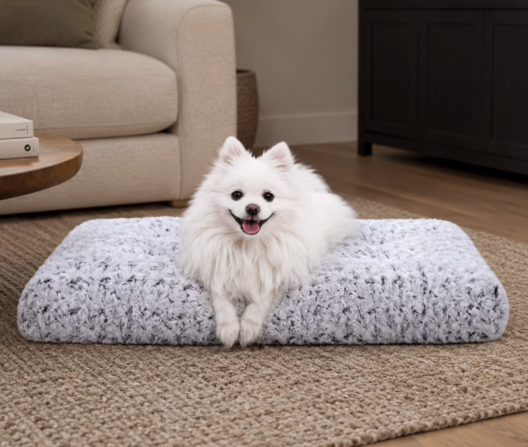 Dog Bed