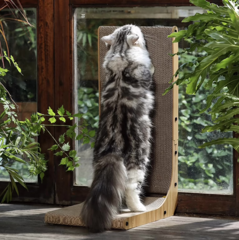 Cat Scratch Pad
