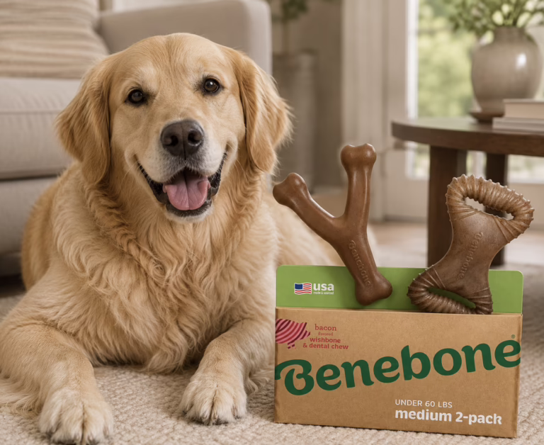 Benebone Chew Toy