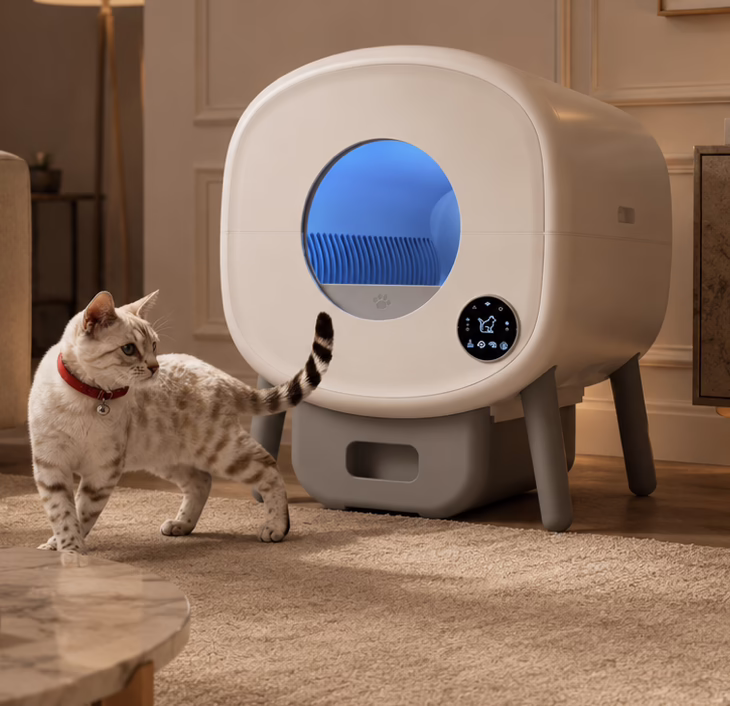Litter Box