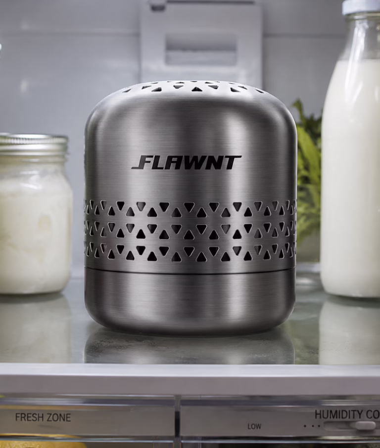 Fridge Deodorizer