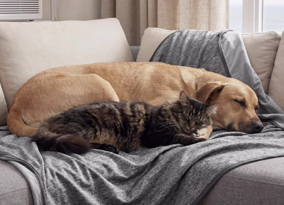 Cooling Blanket