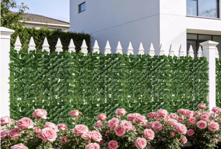 Privacy Ivy
