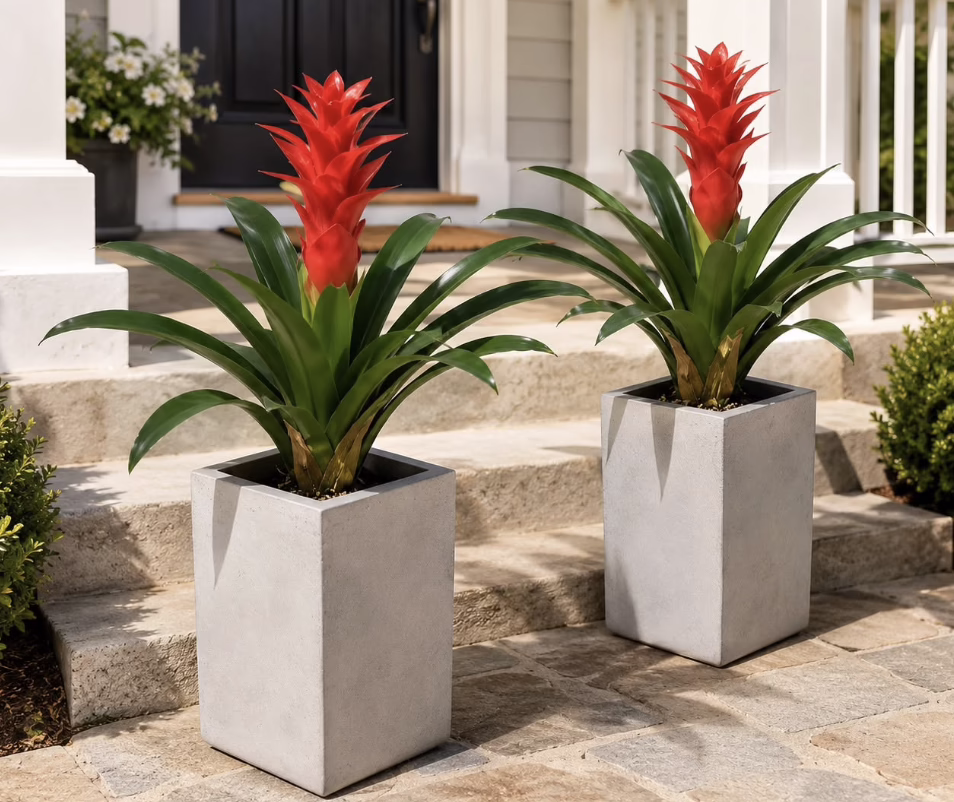 UV-resistant flowers!